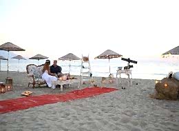 İstanbul Kumsalda Evlilik Teklifi Organizasyonu Kırmızı Halı ve Yönlendirme Tabelası