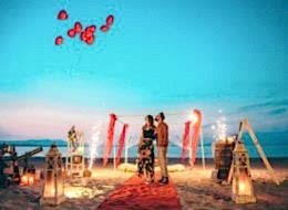 Kumsalda Evlilik Teklifi Organizasyonu