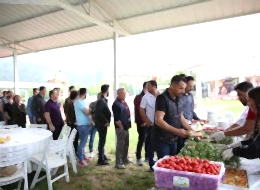 Piknik İkramları İstanbul Piknik Organizasyonu