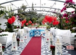 Bodrum Uçan Balon Süsleme İstanbul Organizasyon