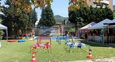 Survivor Temalı Doğum Günü Partisi Organizasyonu yolkeyfi