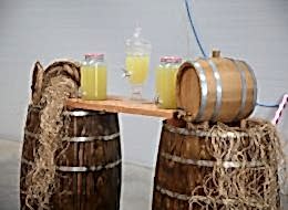 Açılış Organizasyonu